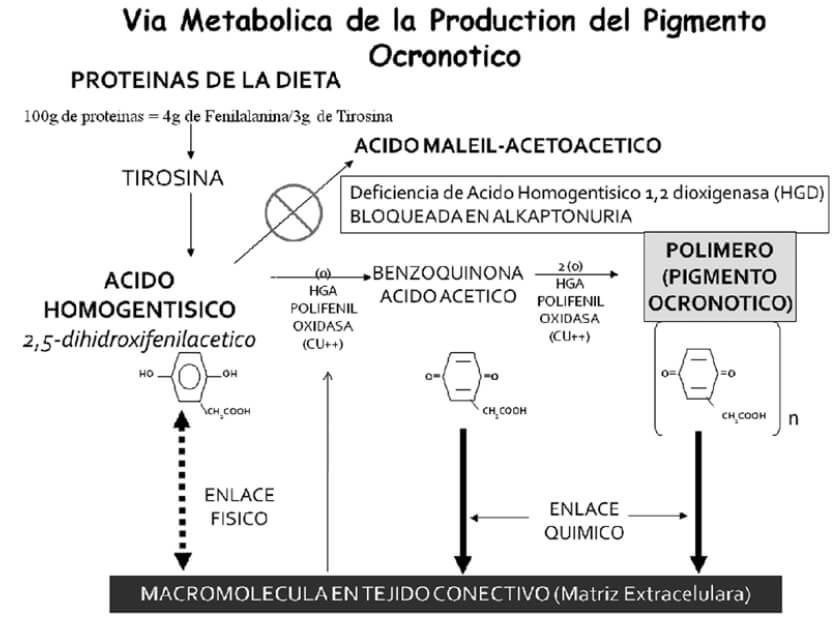 Figura nº 10.