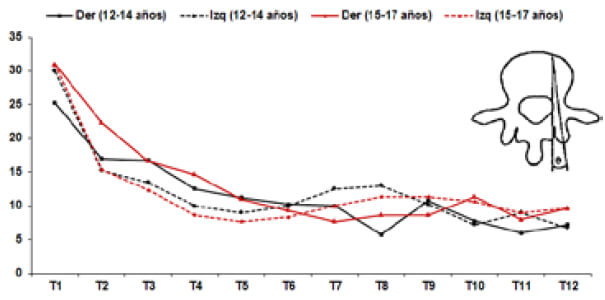 Grafico 2. Análisis morfométrico del ángulo transversal pedicular.