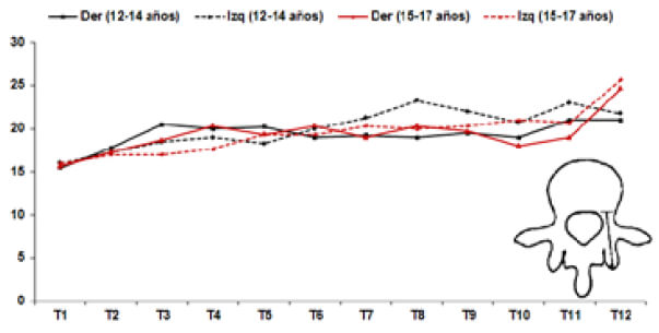 Grafico 3. Análisis morfométrico de la longitud pedicular.