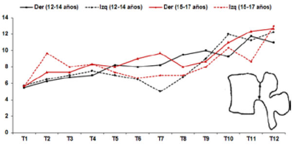 Grafico 5. Análisis morfométrico de la altura sagital pedicular.