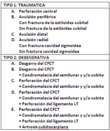 Tabla 1. Clasificación de Palmar