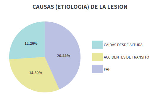 Grafico N°2 Relación porcentual de las causas que ocasionan la lesión en los pacientes