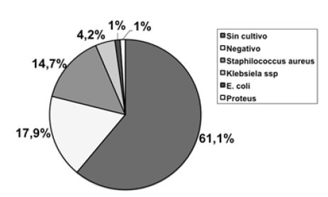 Gráfico 4. Resultados según cultivo