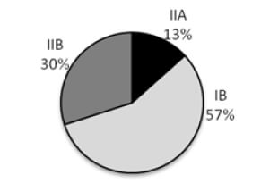 Gráfico 1. Distribución de la clasificación del Equipo de pierna, Tobillo y Pie.