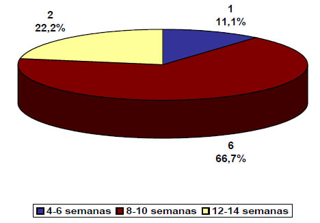 Gráfico 2. Tiempo de retiro de la inmovilización. FUENTE: Formulario de recolección de datos.