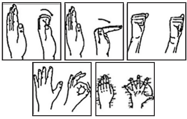 Figura 3. Ejercicios para los dedos según formato “five pack”.