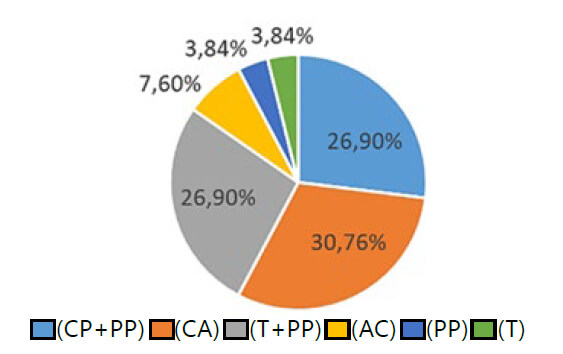 Gráfico 1. Patrones de fractura