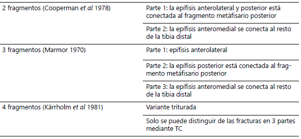 Tabla 1. Clasificación según número de fragmentos.