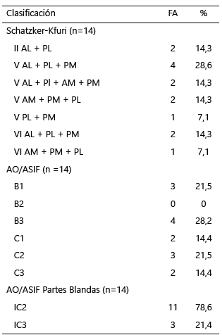 Tabla 1. Comparativa de las fracturas según las distintas clasificaciones utilizadas.