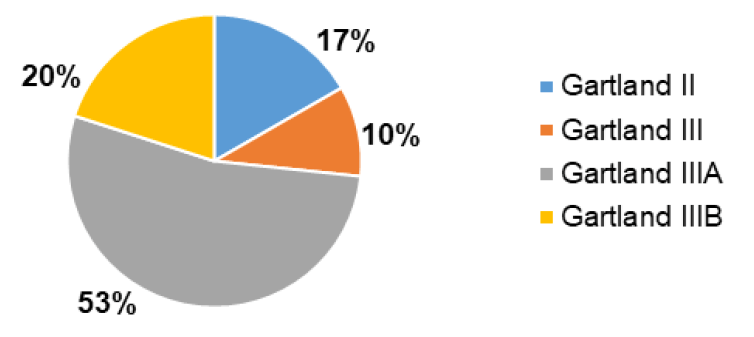 Gráfico 2. Distribución según la Clasificación de Gartland (9,11,14)