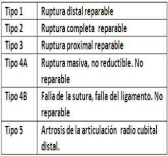 Tabla 2. Clasificación de Atzei